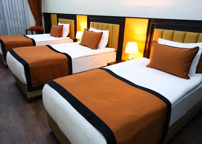 Ξενοδοχείο Dimen Προύσα