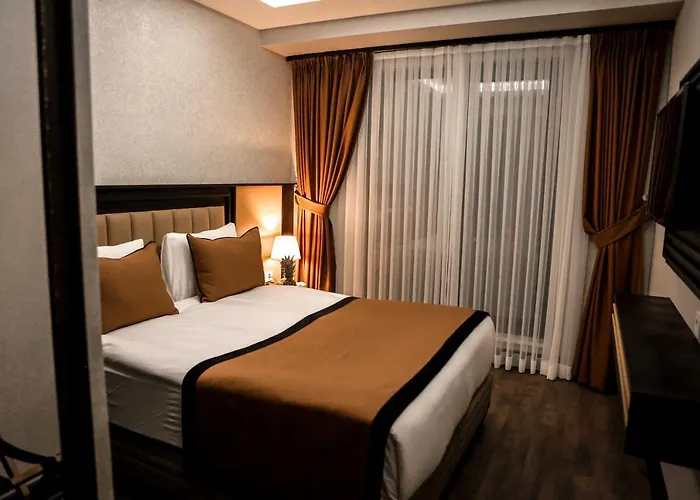 Ξενοδοχείο Dimen Προύσα